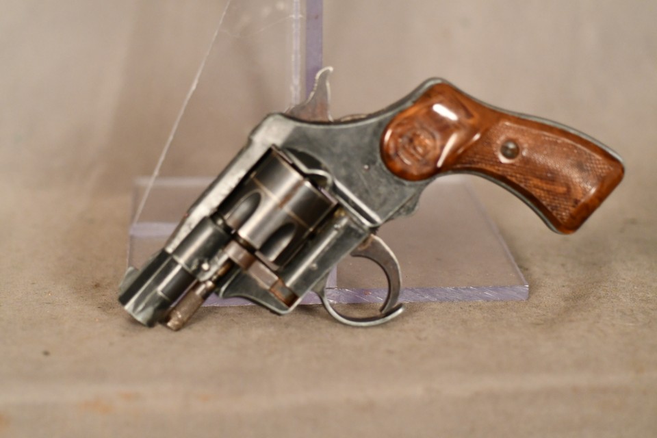 RG 23, .22 LR cal. revolver, Blue, 1 3/4