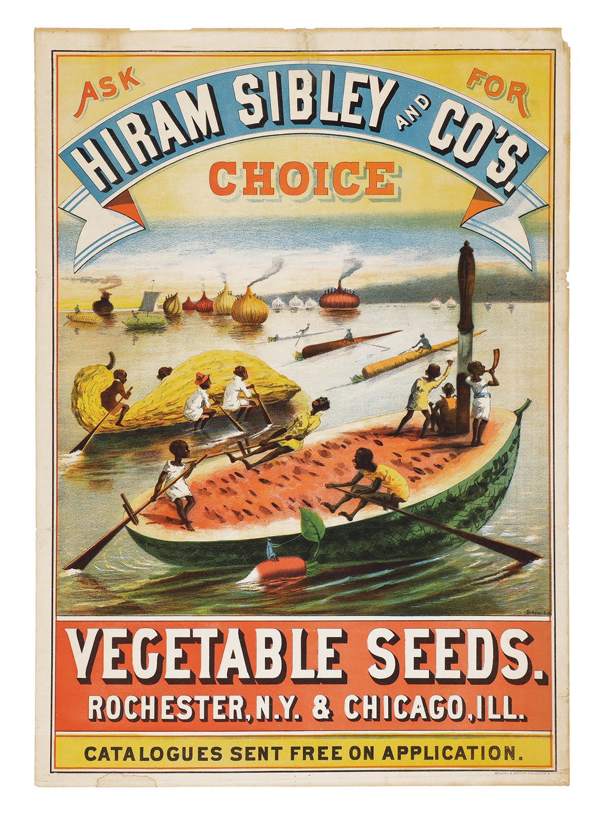 Vegetable Seeds – The Incredible Seed Company Ltd