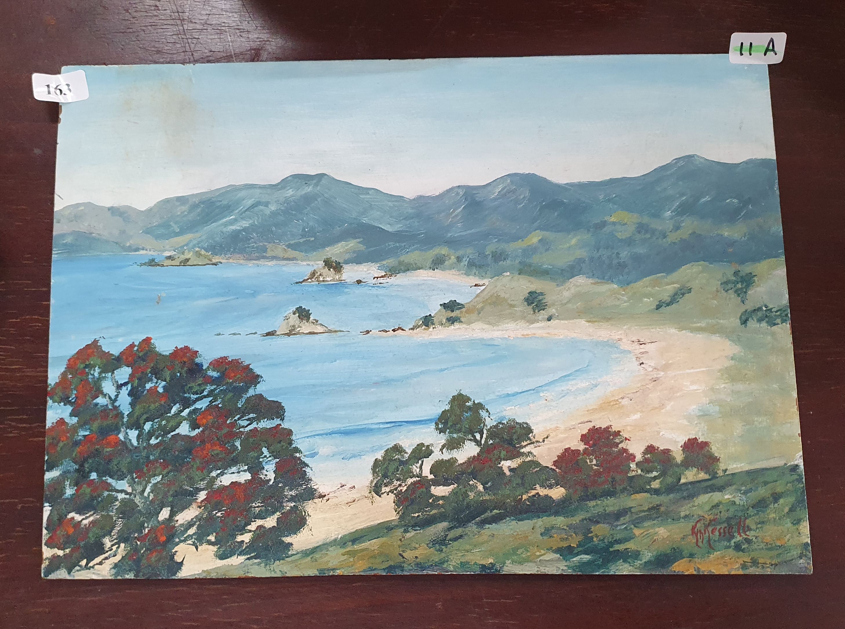 163 · NEW ZEALAND SCHOOL