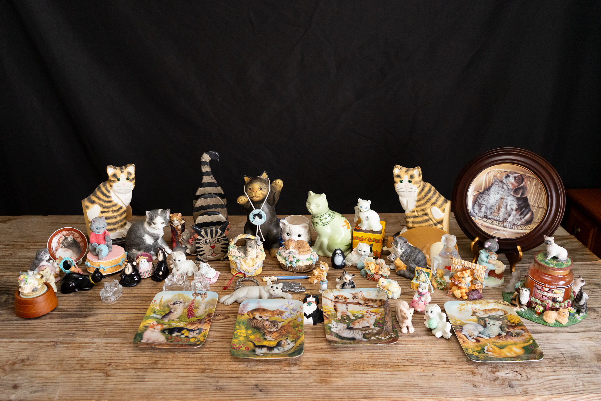 Collection of Cat Decor | Harritt Group, Inc