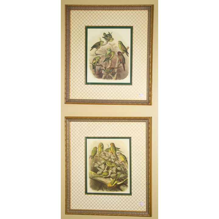 A Pair of Bird Prints
