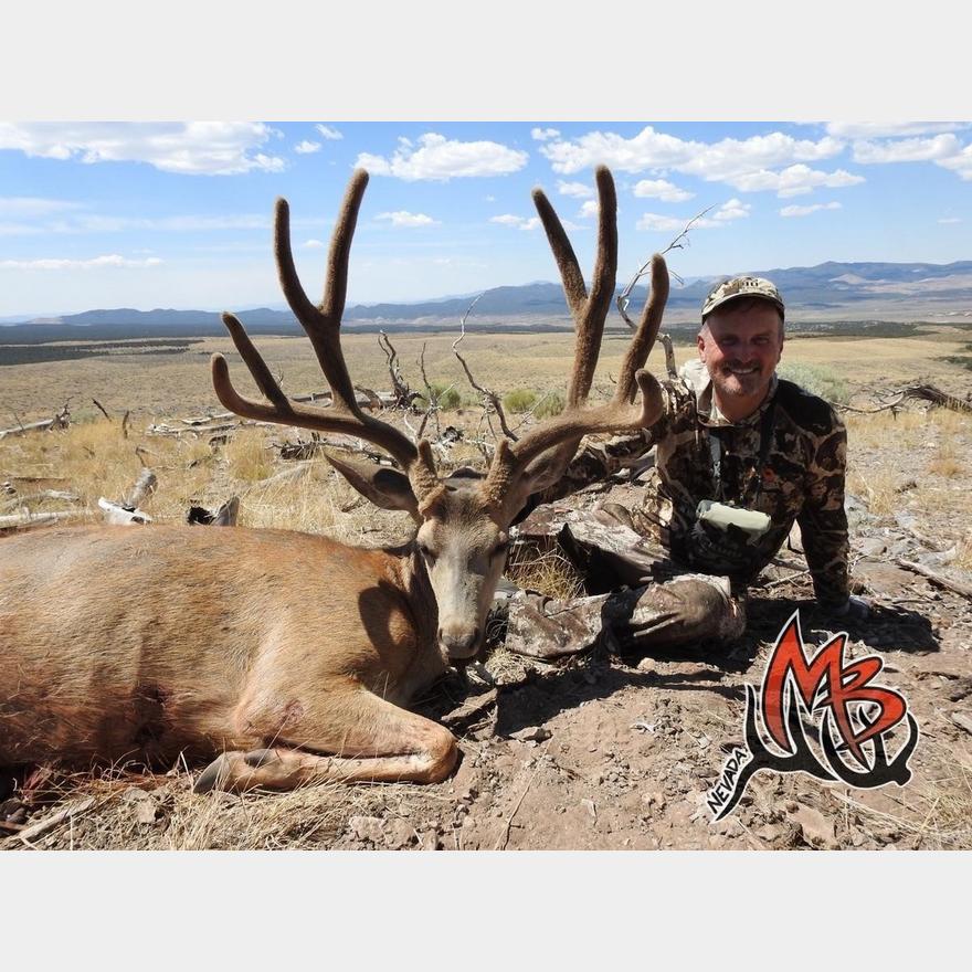 1 Nevada Landowner Deer Tag for Unit 231/242 SFW