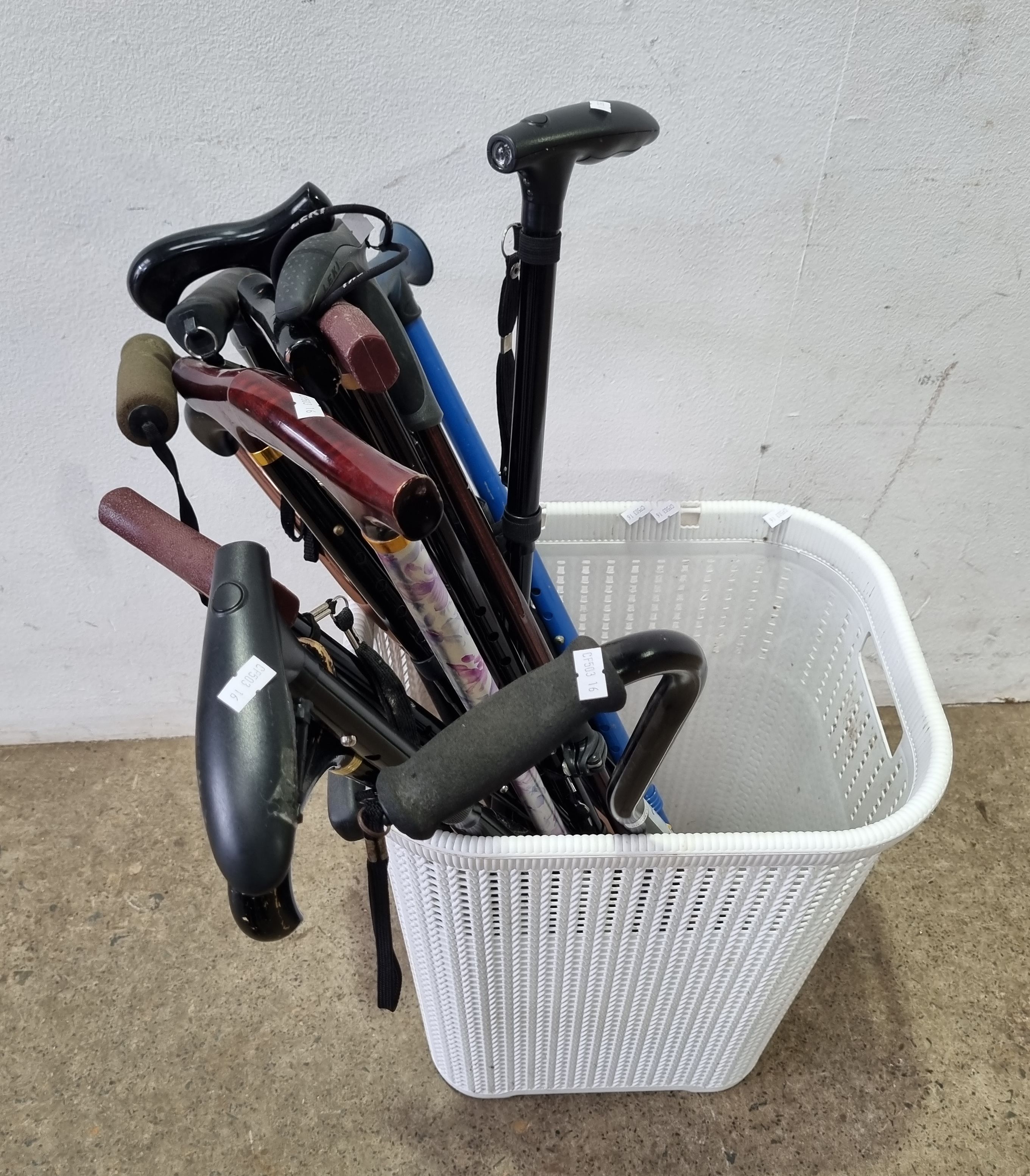 1286 · A GROUP OF WALKING STICKS