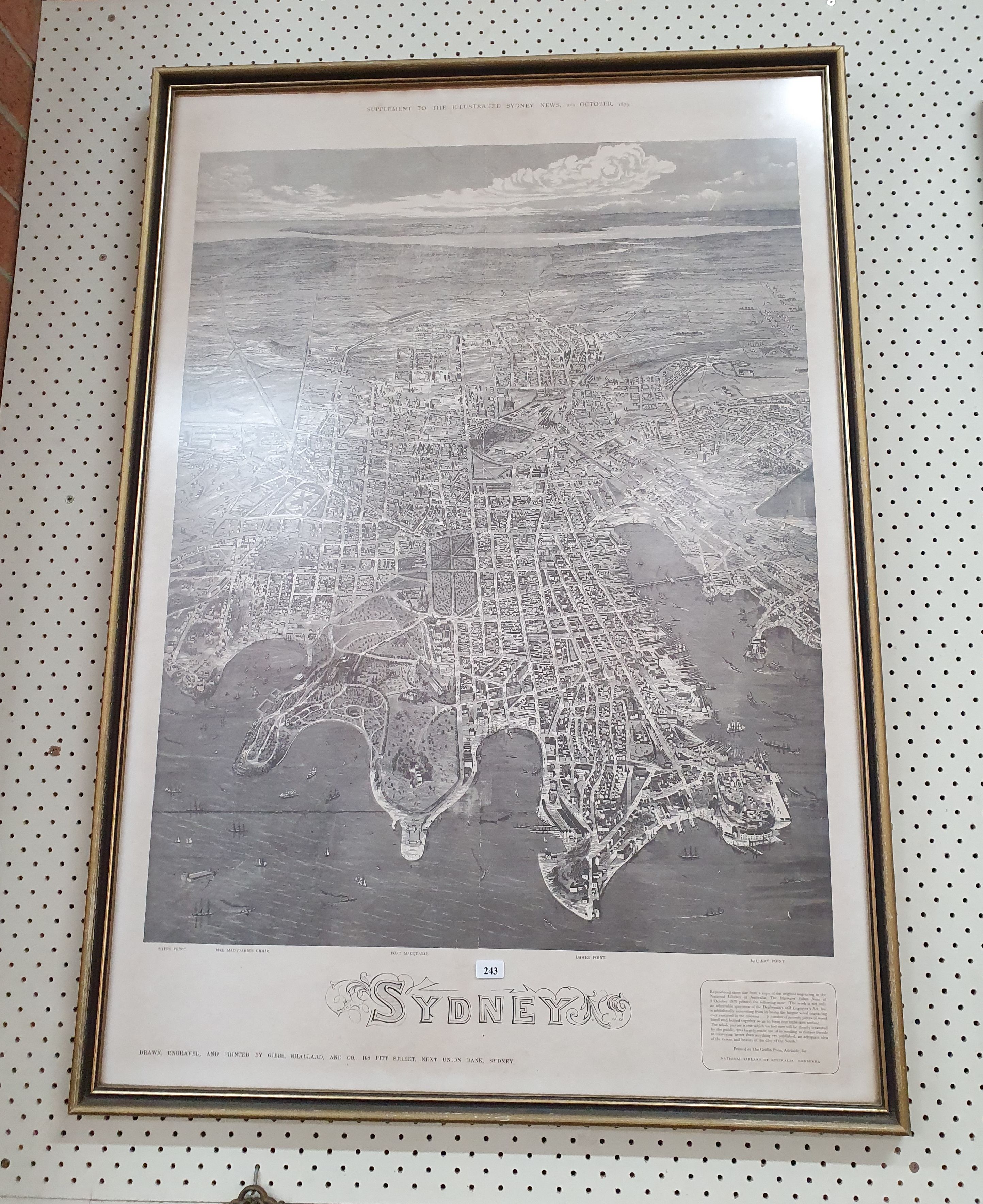 243 · A LARGE FRAMED MAP OF SYDNEY