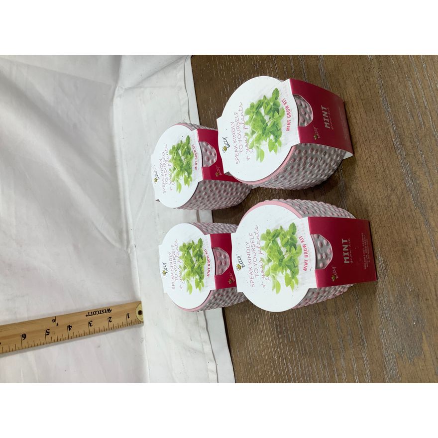 Buying (4) Buzzty Mint Grow Kit