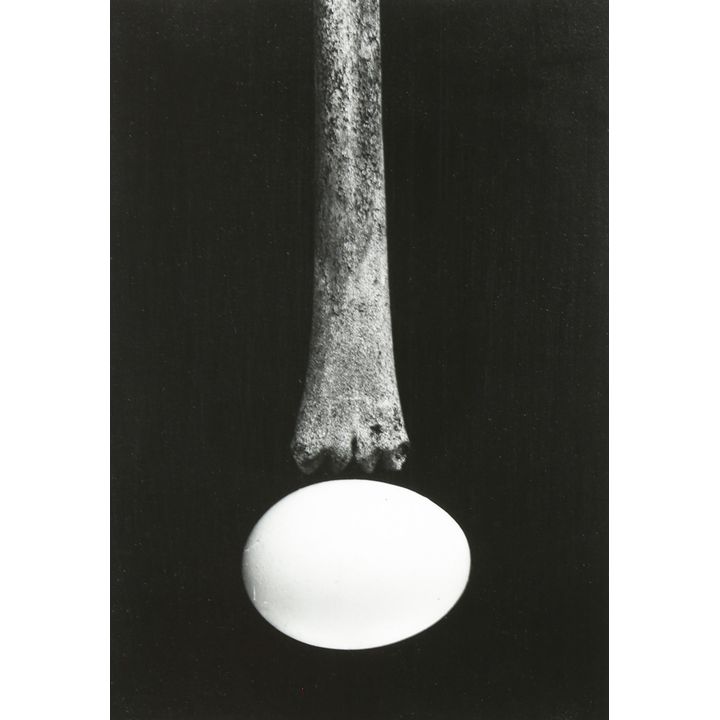 Photograph, Joseph Jachna