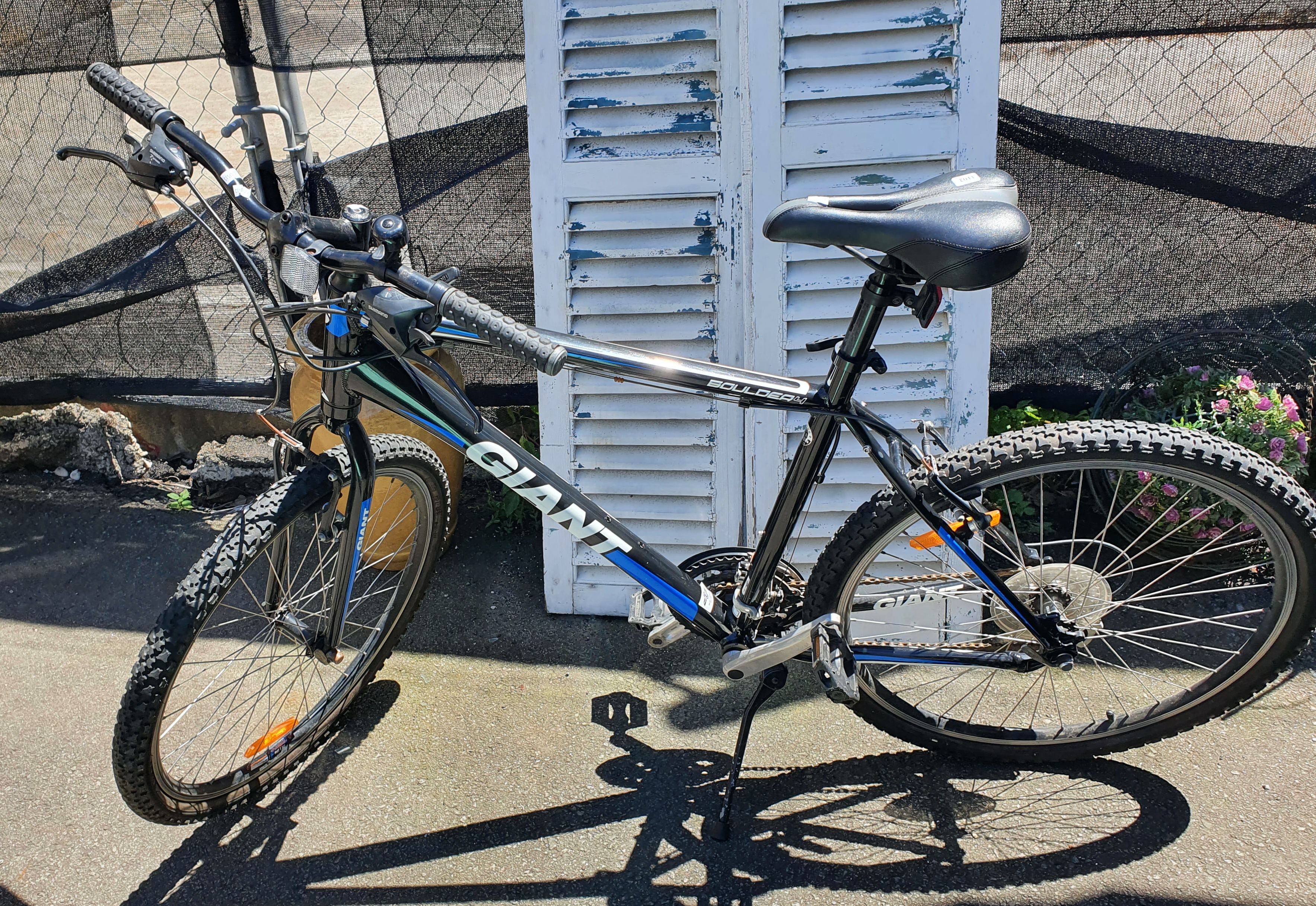 A Giant Bicycle