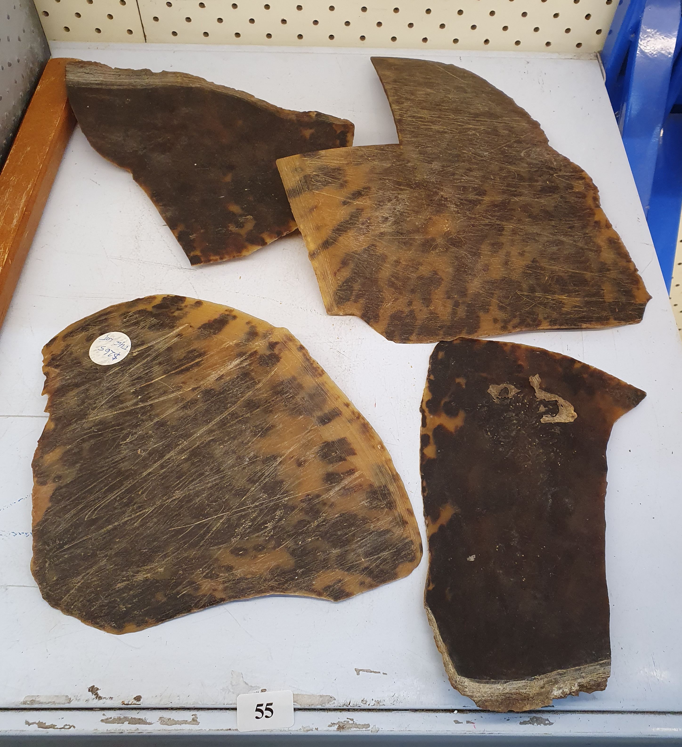55 · A GROUP OF TORTOISE SHELL PIECES
