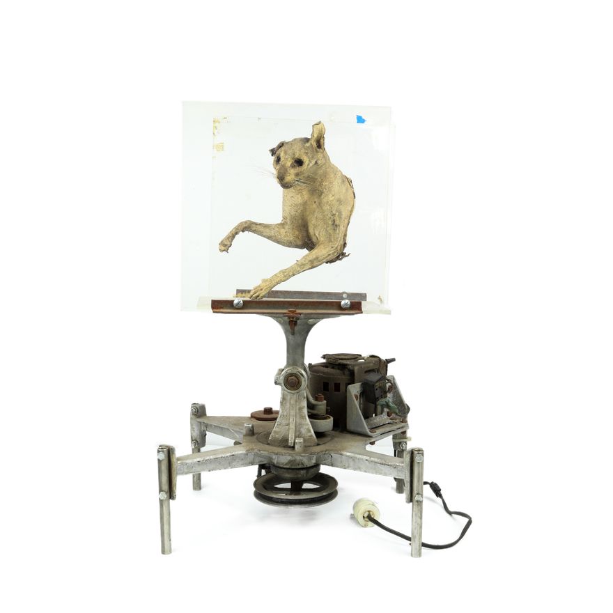 Machine, Mark Pauline