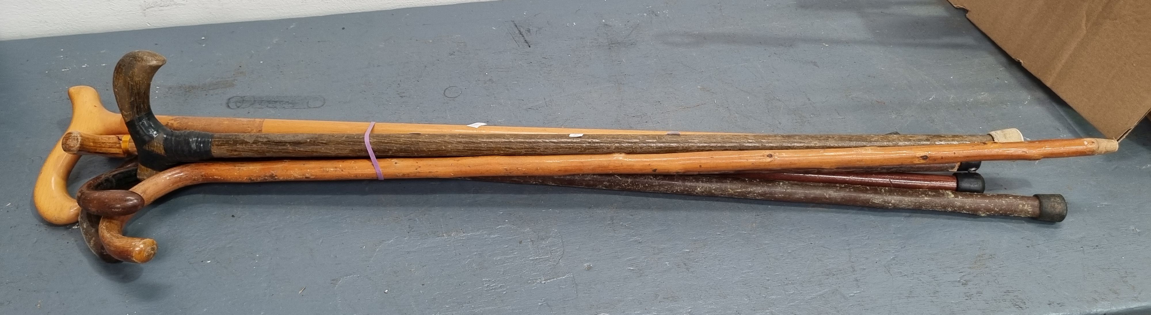 1270 · A GROUP OF WALKING STICKS