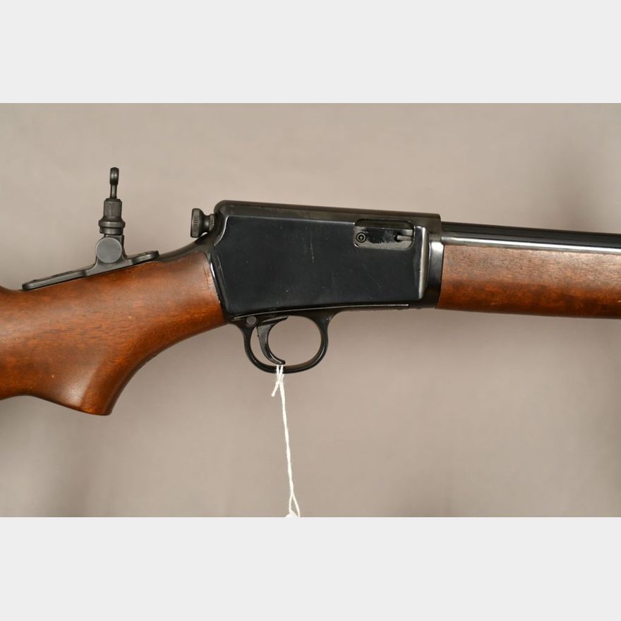 Taurus Model 63 Rifle Taurus Model 63, .22 cal. semi-auto rifle, Blue, 23
