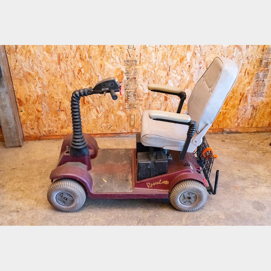 Hot Rod Rascal Scooter Rascal Electric Scooter | Harritt Group, Inc