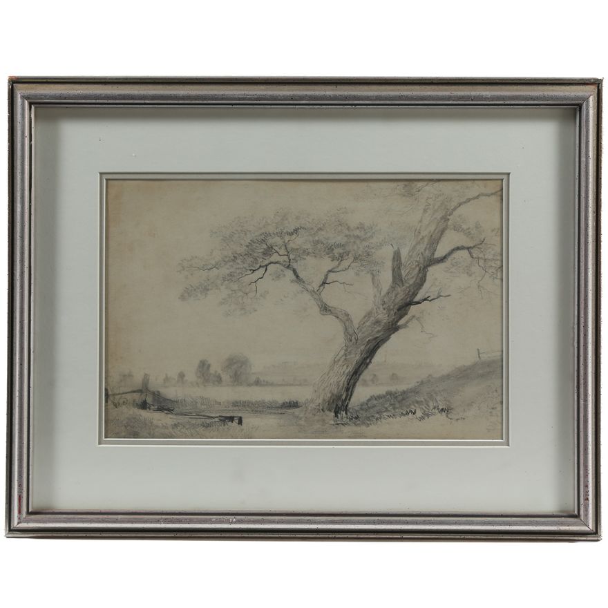Attributed to John Constable. Tree Study, graphite