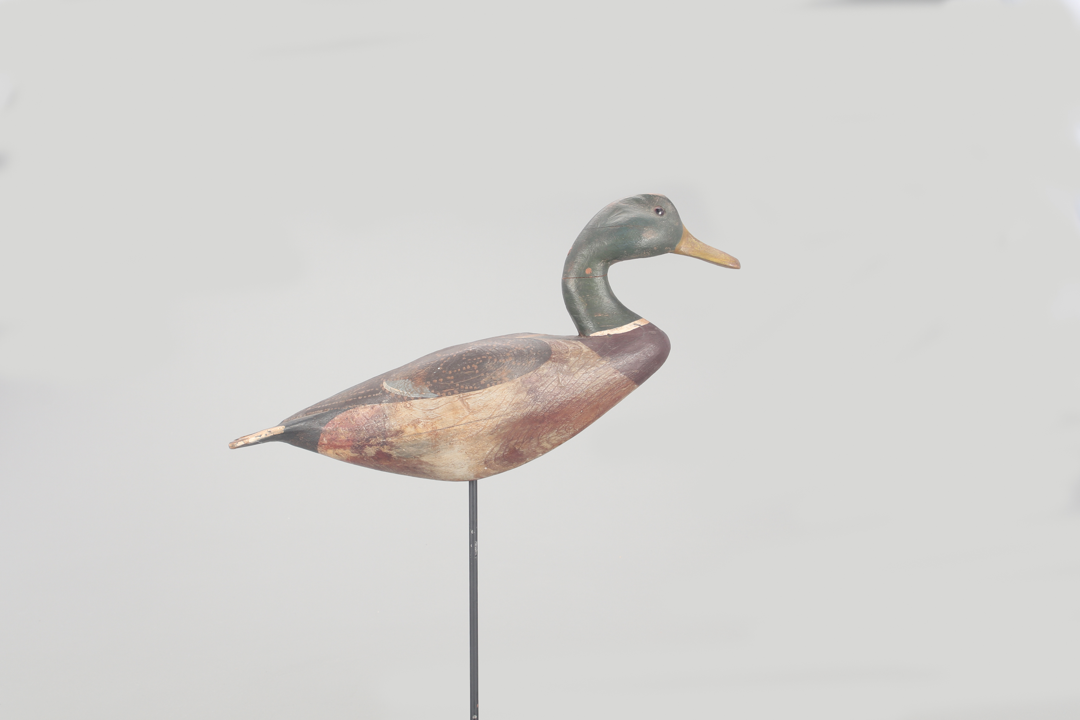 Standing Mallard Drake Decoy | Copley