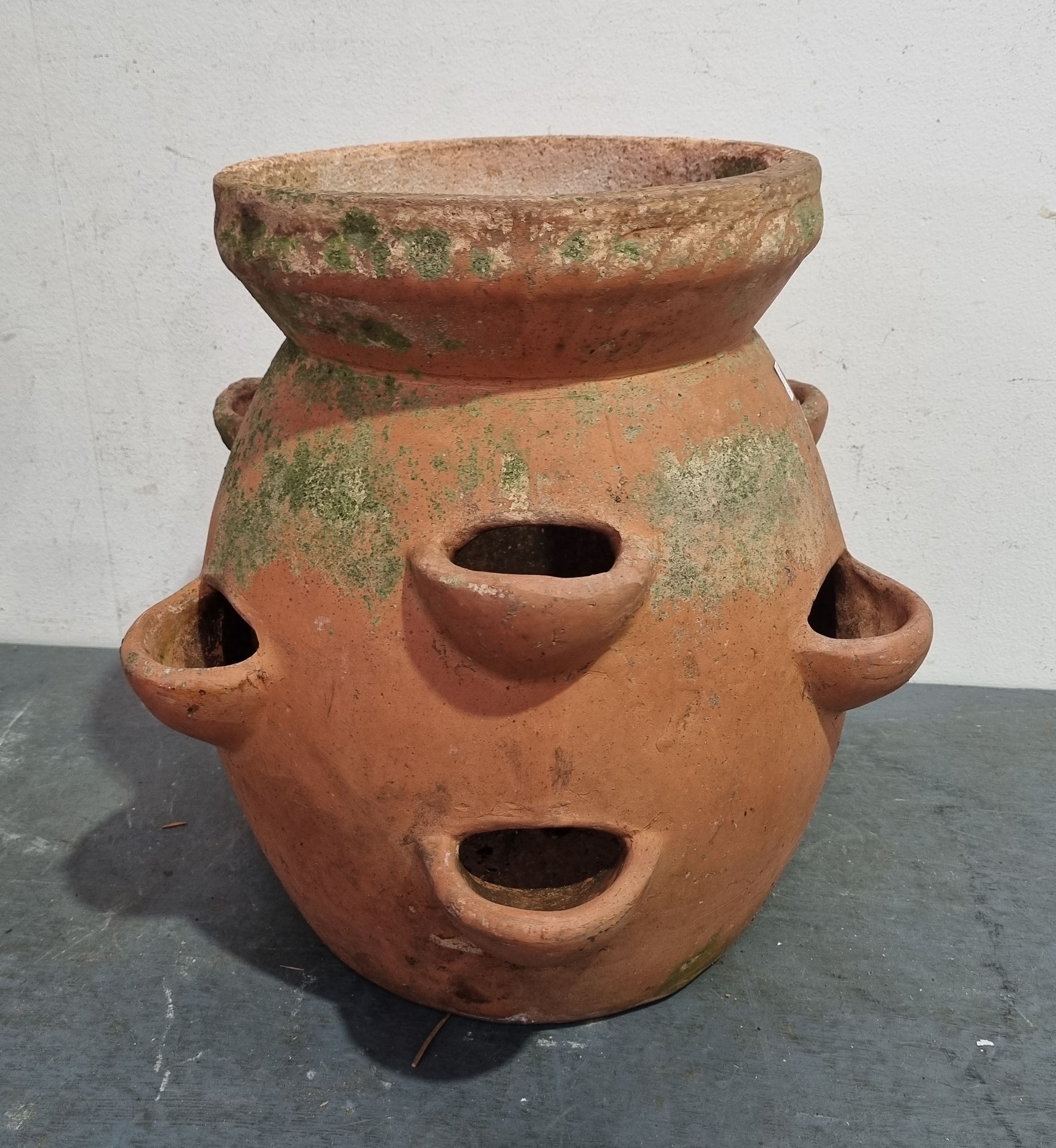 1141A · A STRAWBERRY POT