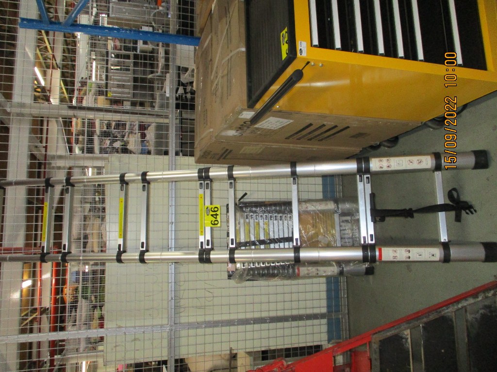 646 - 1 X 3.2M LADDER .. CONDITION: PLUS 15% VAT & 10% BUYERS PREMIUM