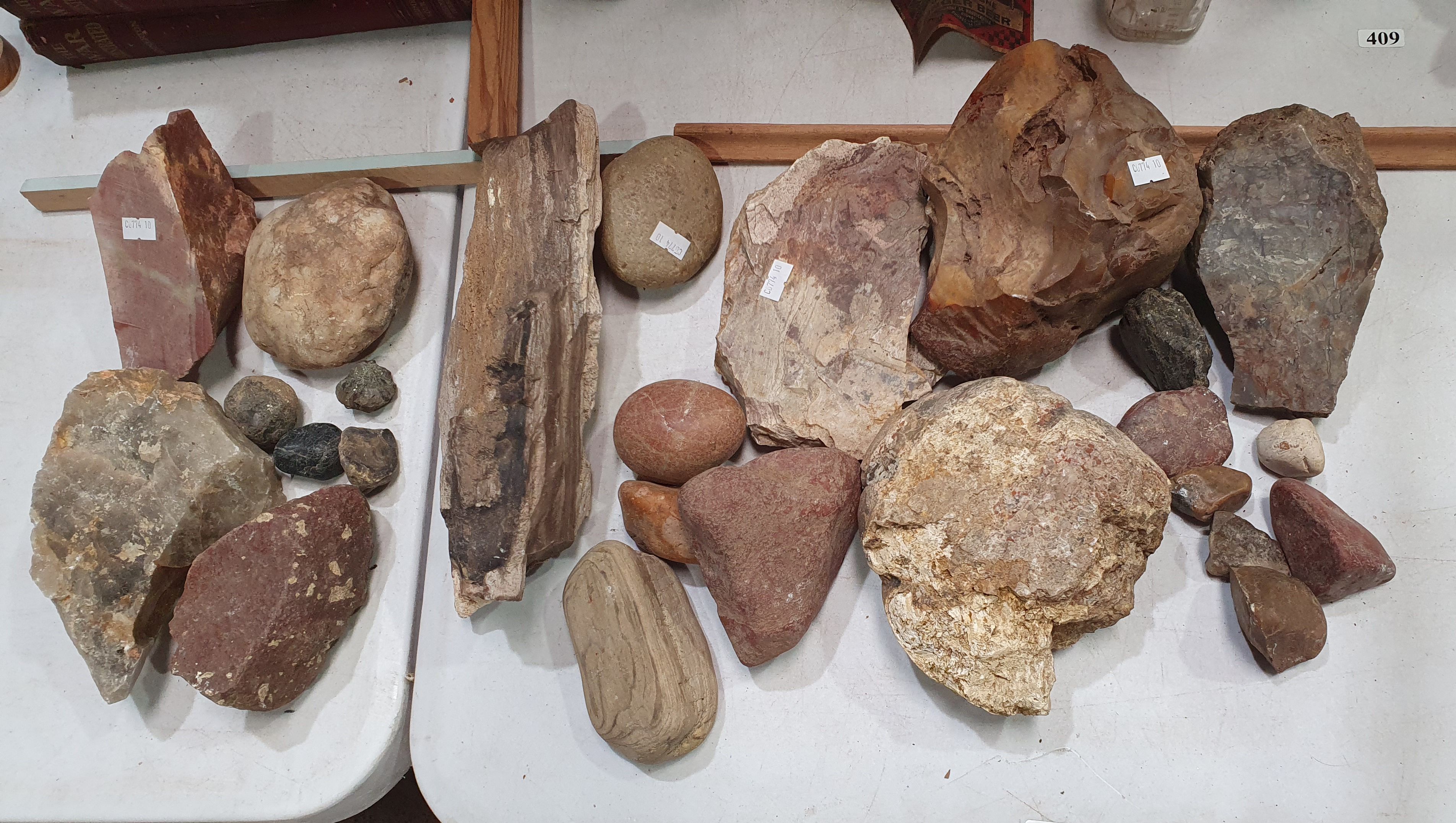 408 · A COLLECTION OF ROCK AND MINERAL SAMPLES