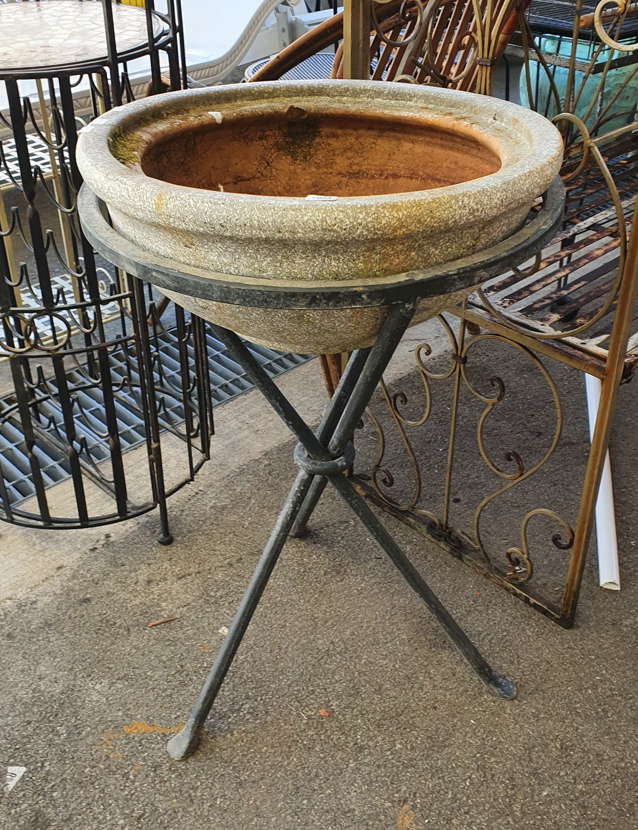 A Terracotta Pot
