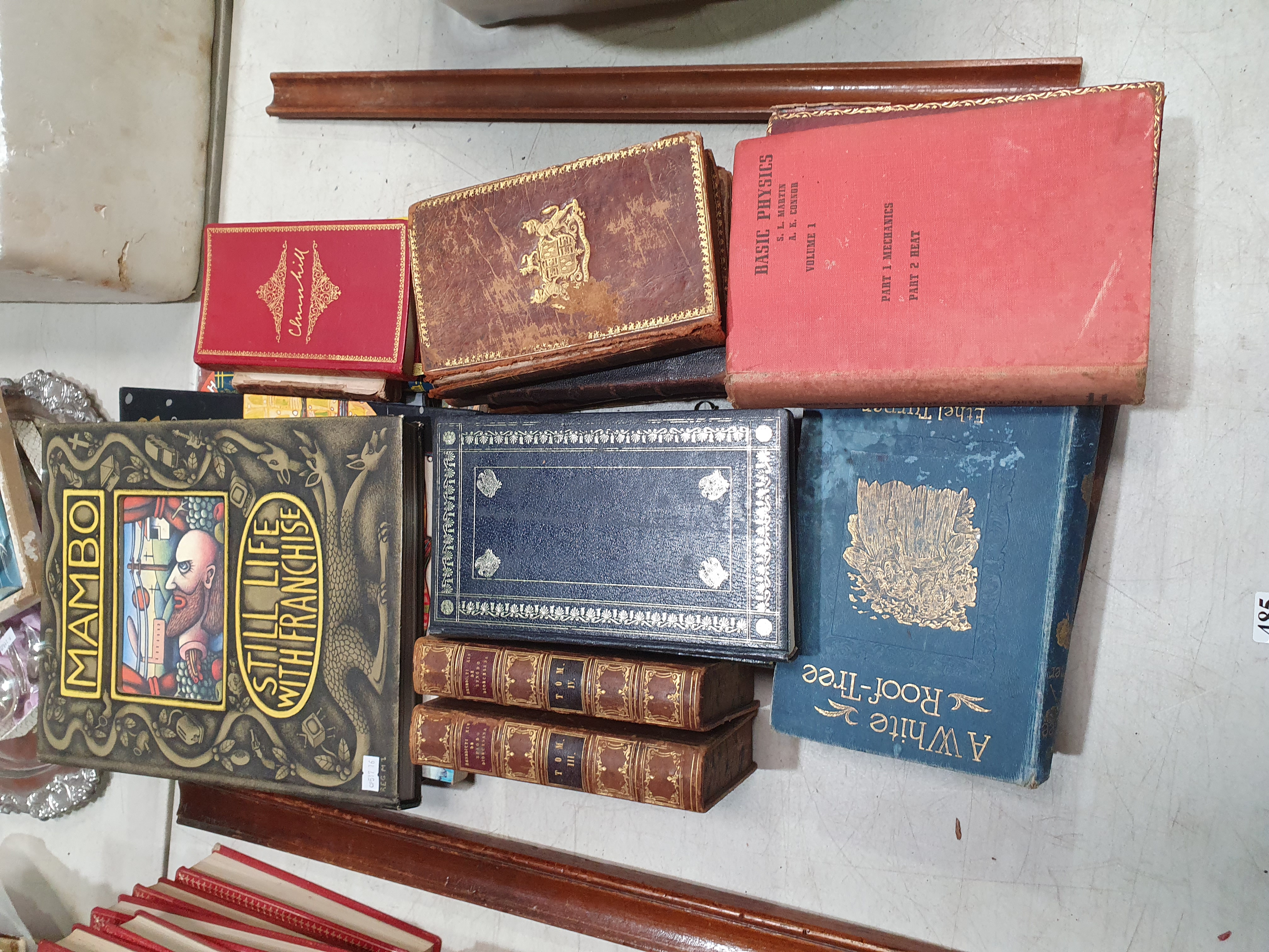 485 · A GROUP OF VARIOUS BOOKS