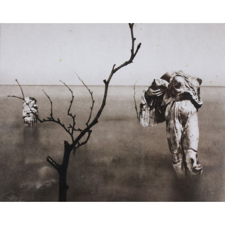 Photograph, Ruth Thorne Thomsen