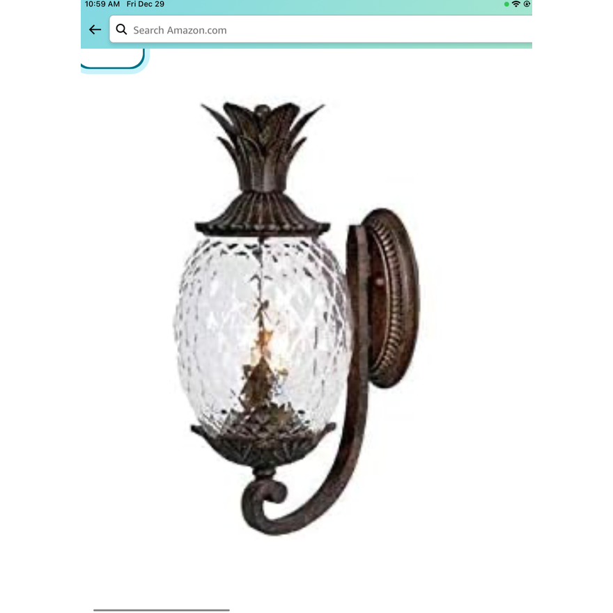 Acclaim Lanai Collection Wall Mount Outdoor Light Fixture (Black Coral)