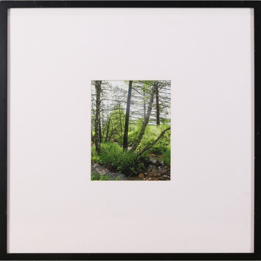 Print, Afternoon Hike