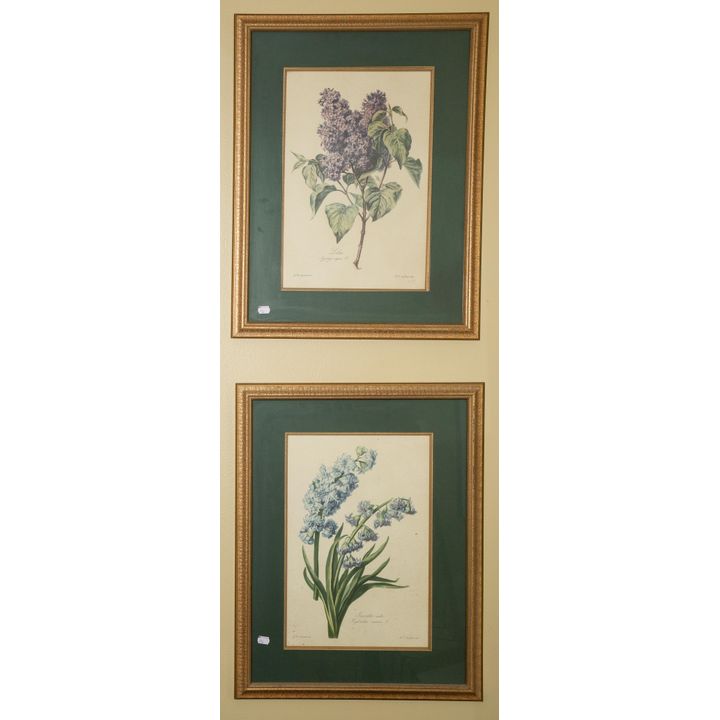 A Pair of Botanical Prints
