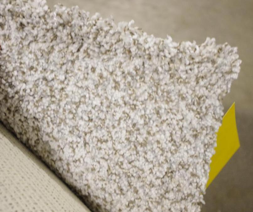 DREAMWAVER Brazen I 12' x 22' Carpet Roll, Unused | Bid Venues