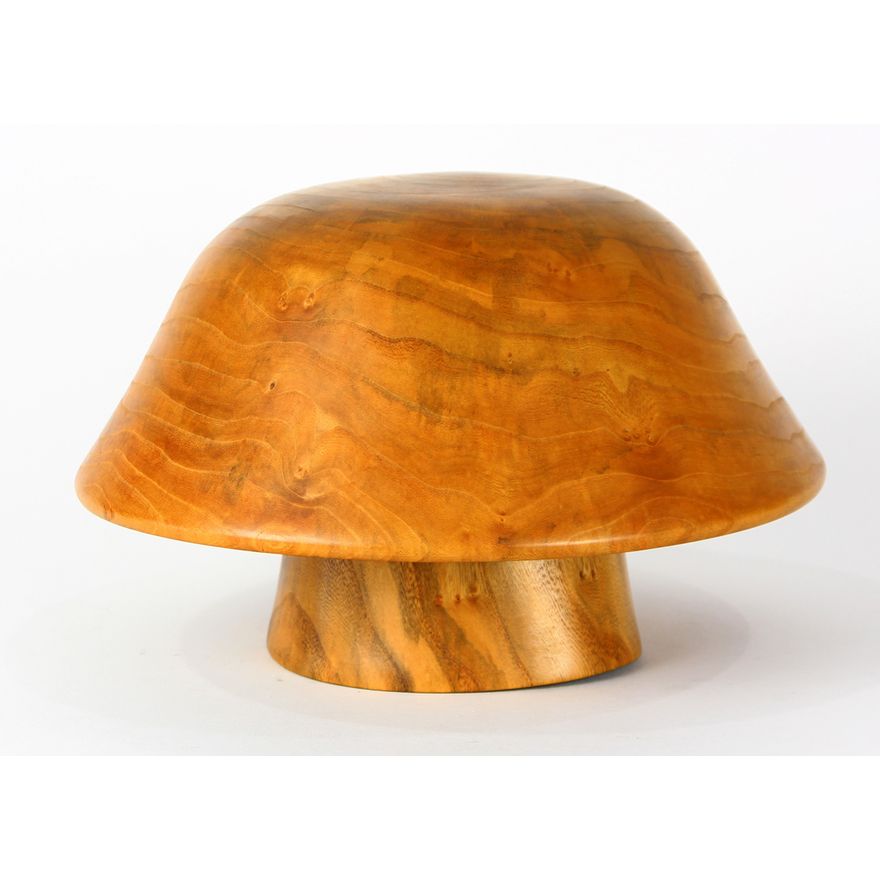 Howard Lewin turned Siberian elm mushroom sculpture