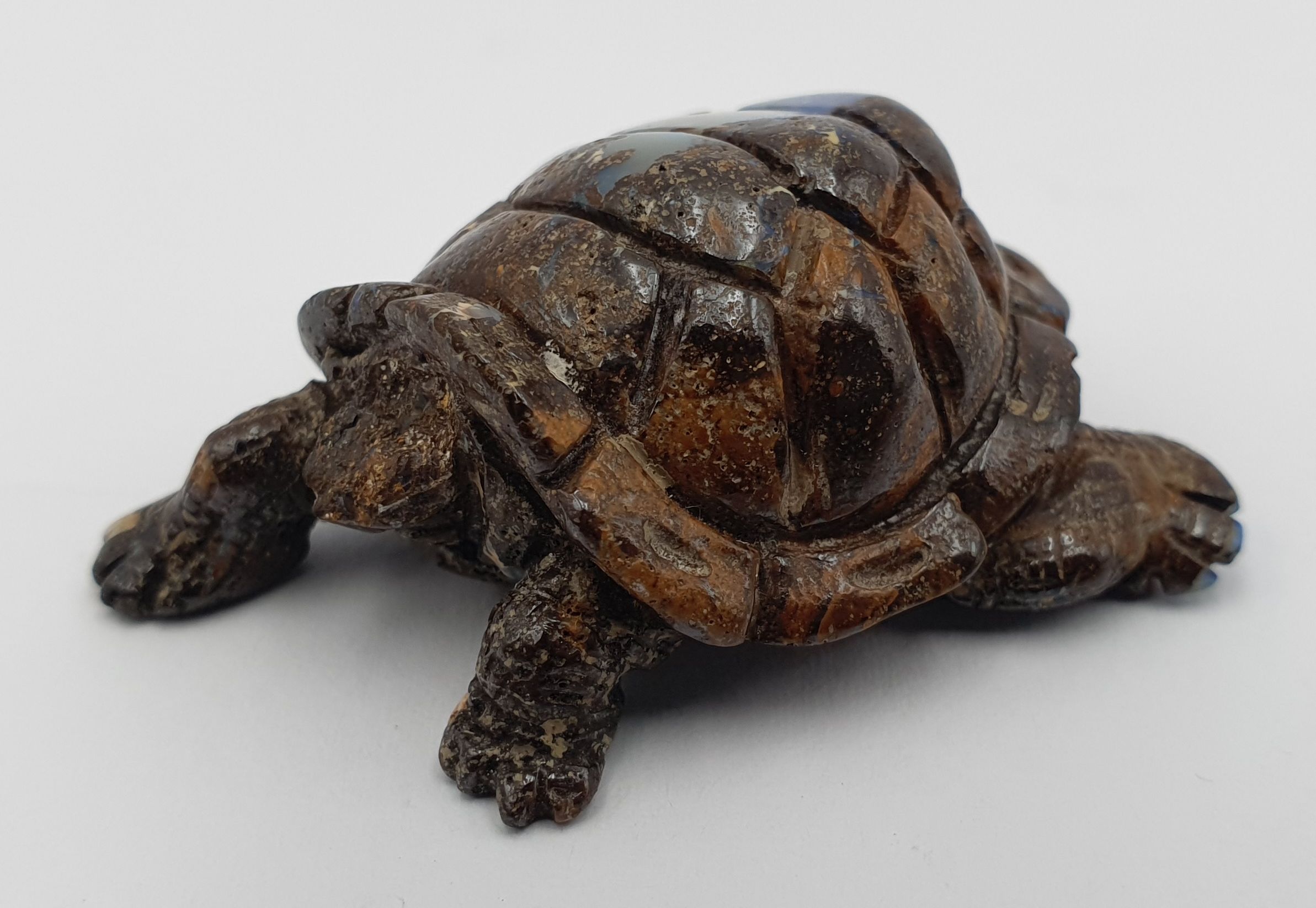 342 · A BOULDER OPAL TORTOISE