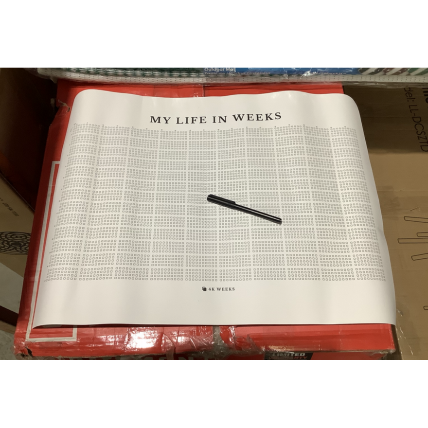 Weeks in My Life 2023 Wall Decor