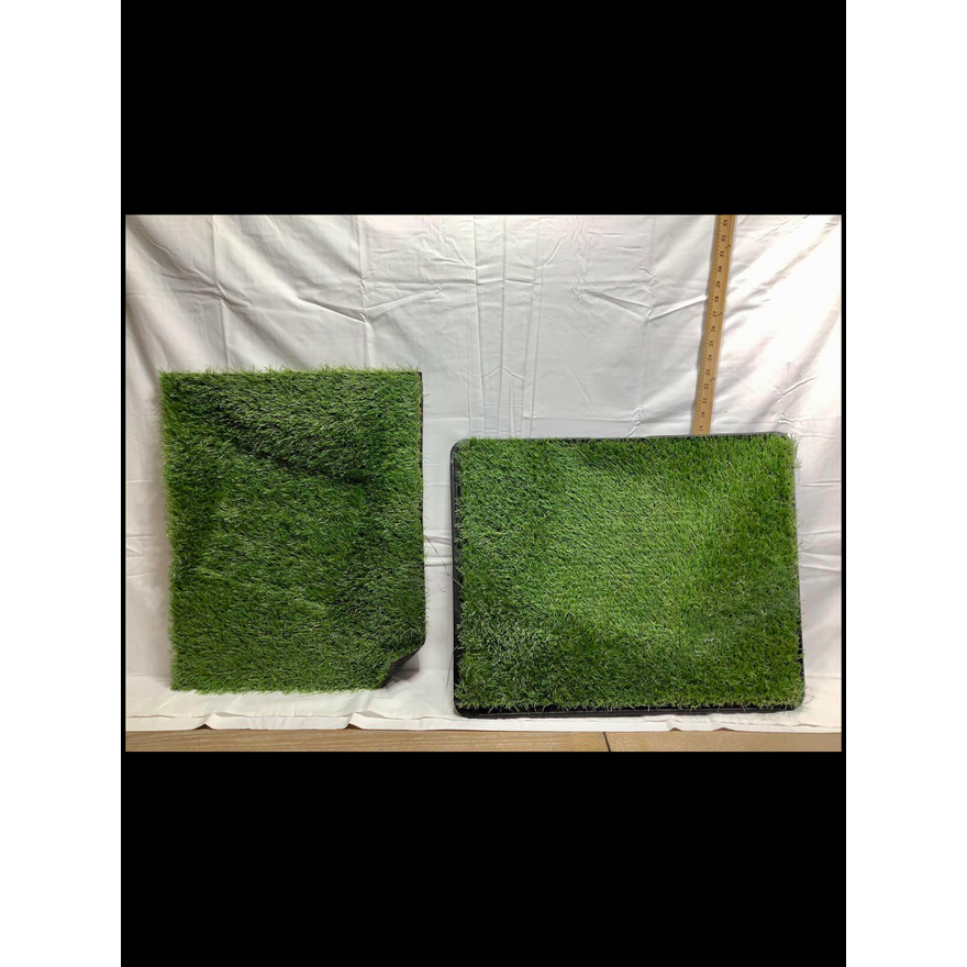 Zen Garden Pet Tray w/ Grass