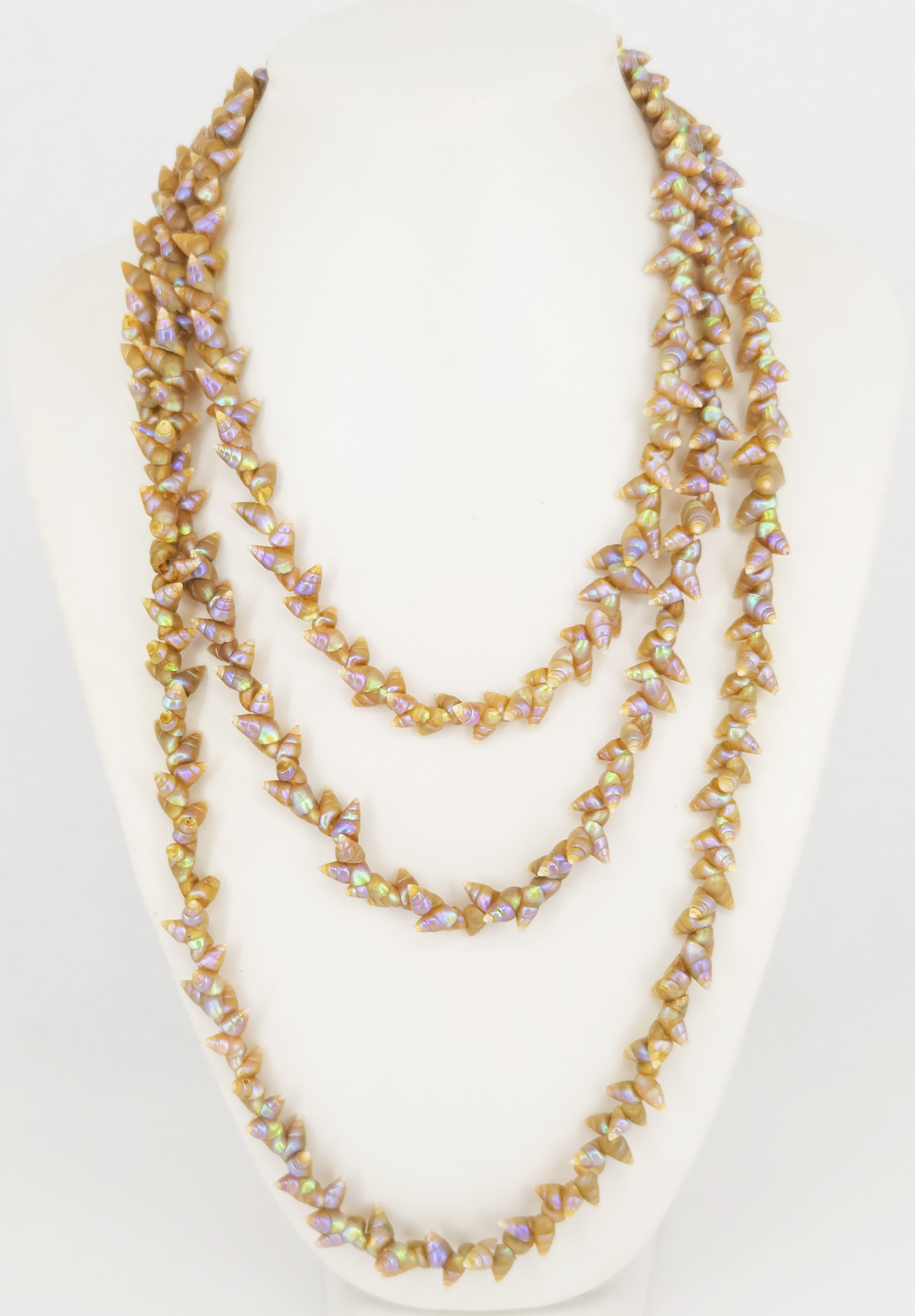 A STRAND OF TASMANIAN MAIREENER SHELLS