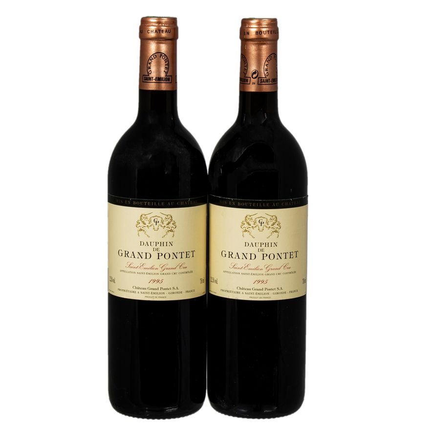 1995 Dauphin de Grand Pontet