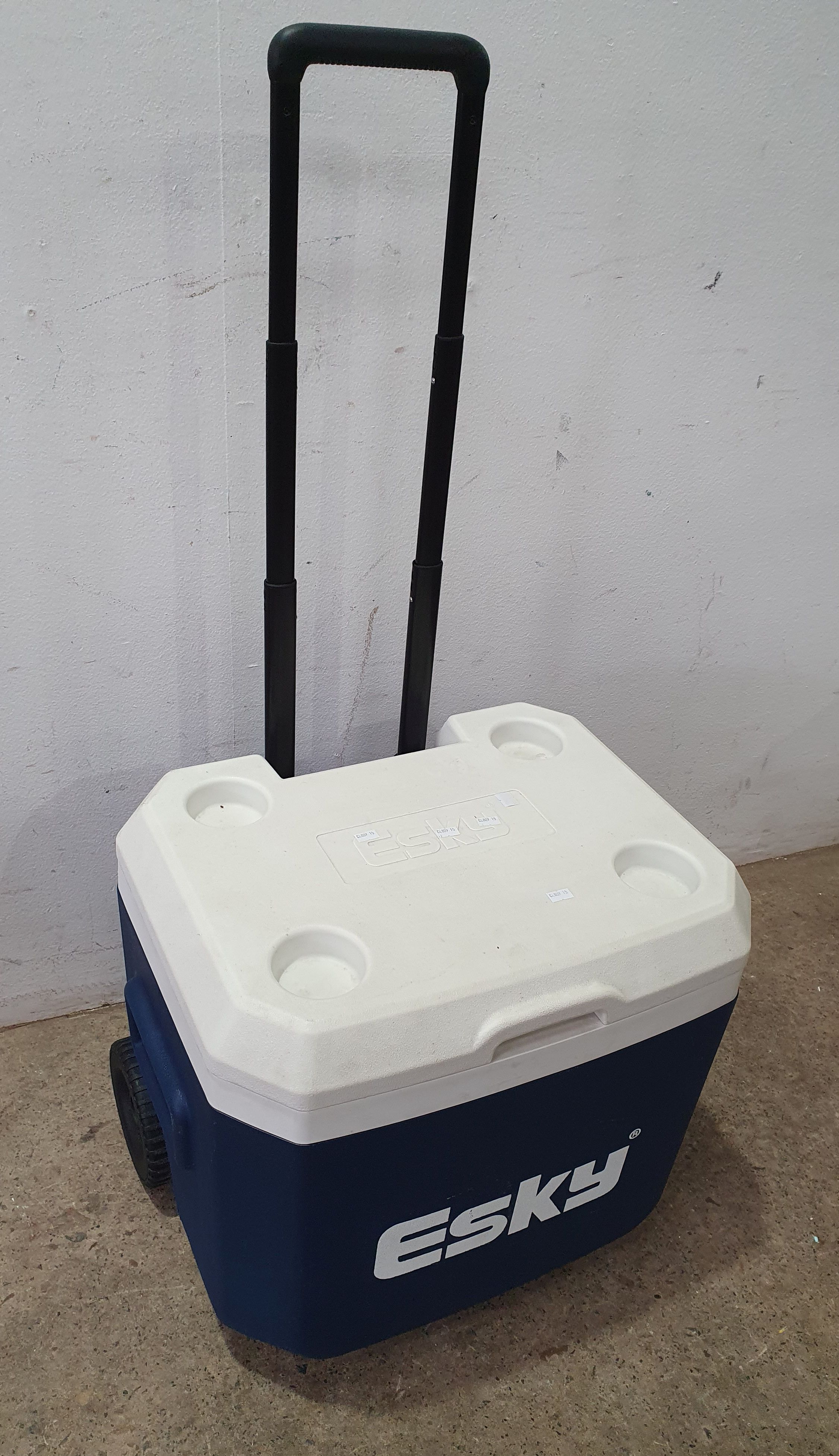 An Esky