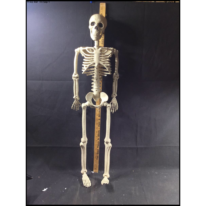 36" Crazy Bonez Poseable Skeleton