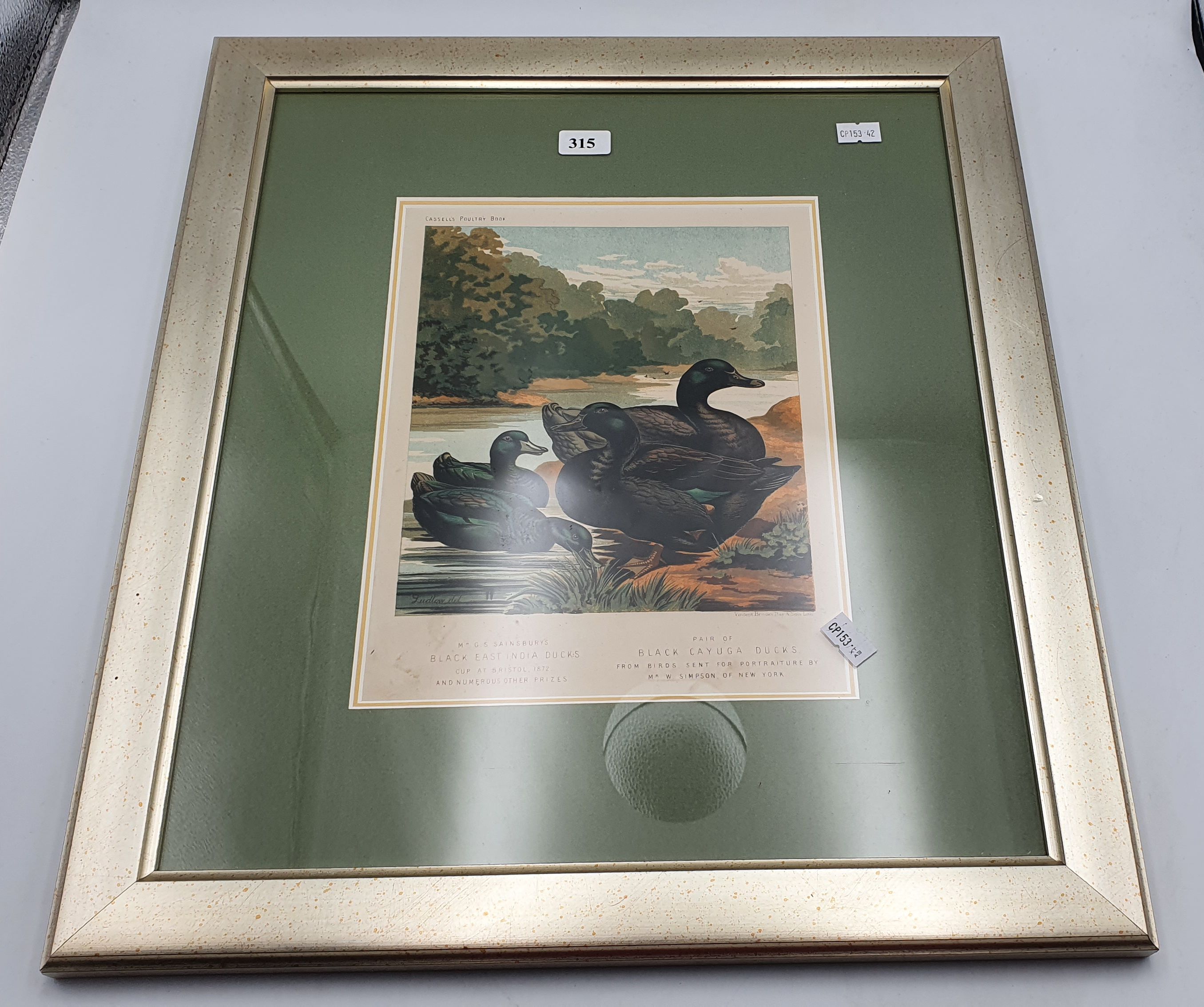 315 · AN ANTIQUE PRINT OF DUCKS