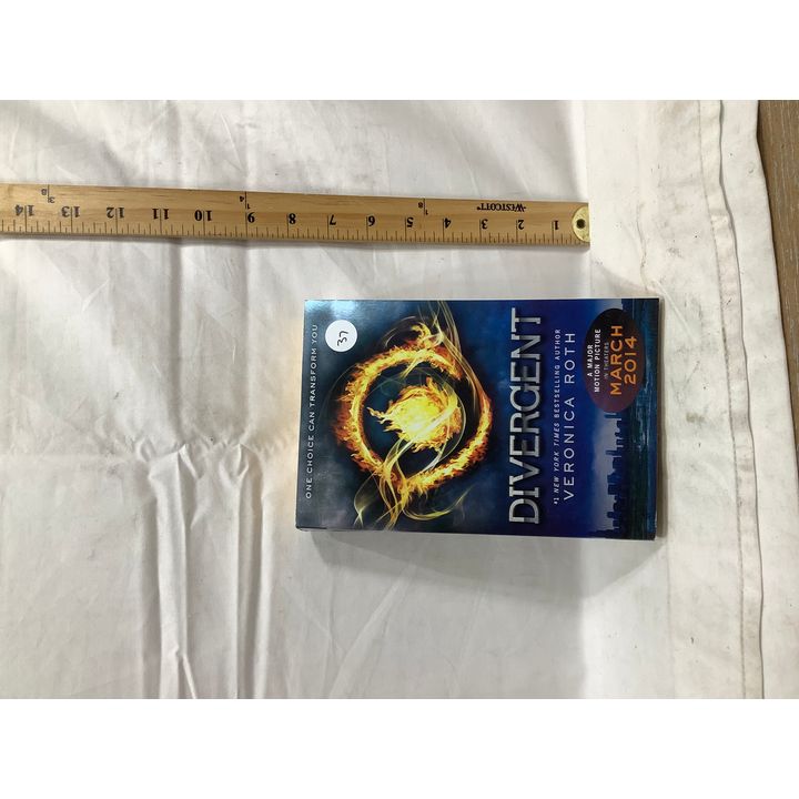 Divergent By Veronica Roth