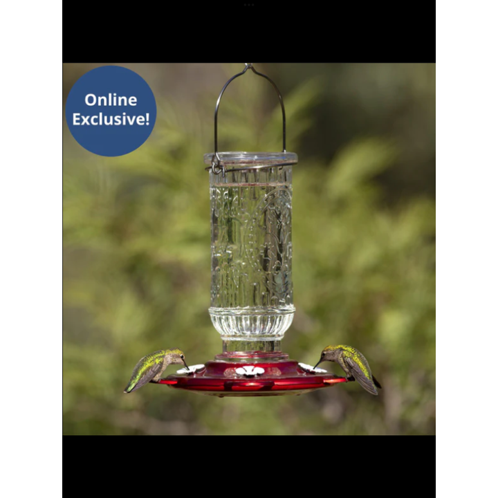 More Birds Vintage Hummingbird Feeder