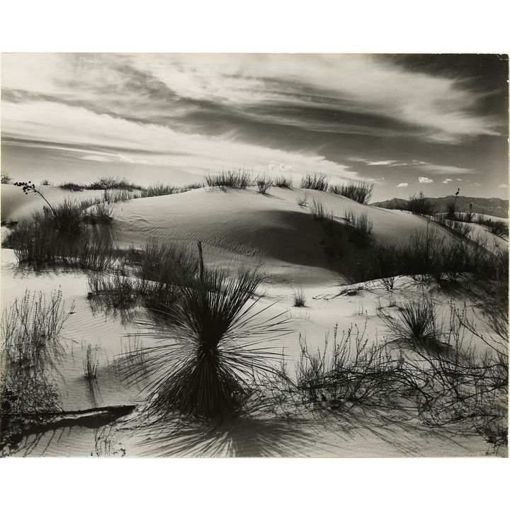 Photograph, Brett Weston
