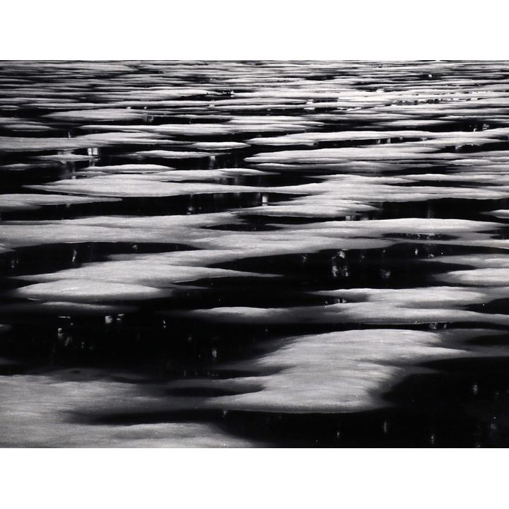 Photograph, Brett Weston