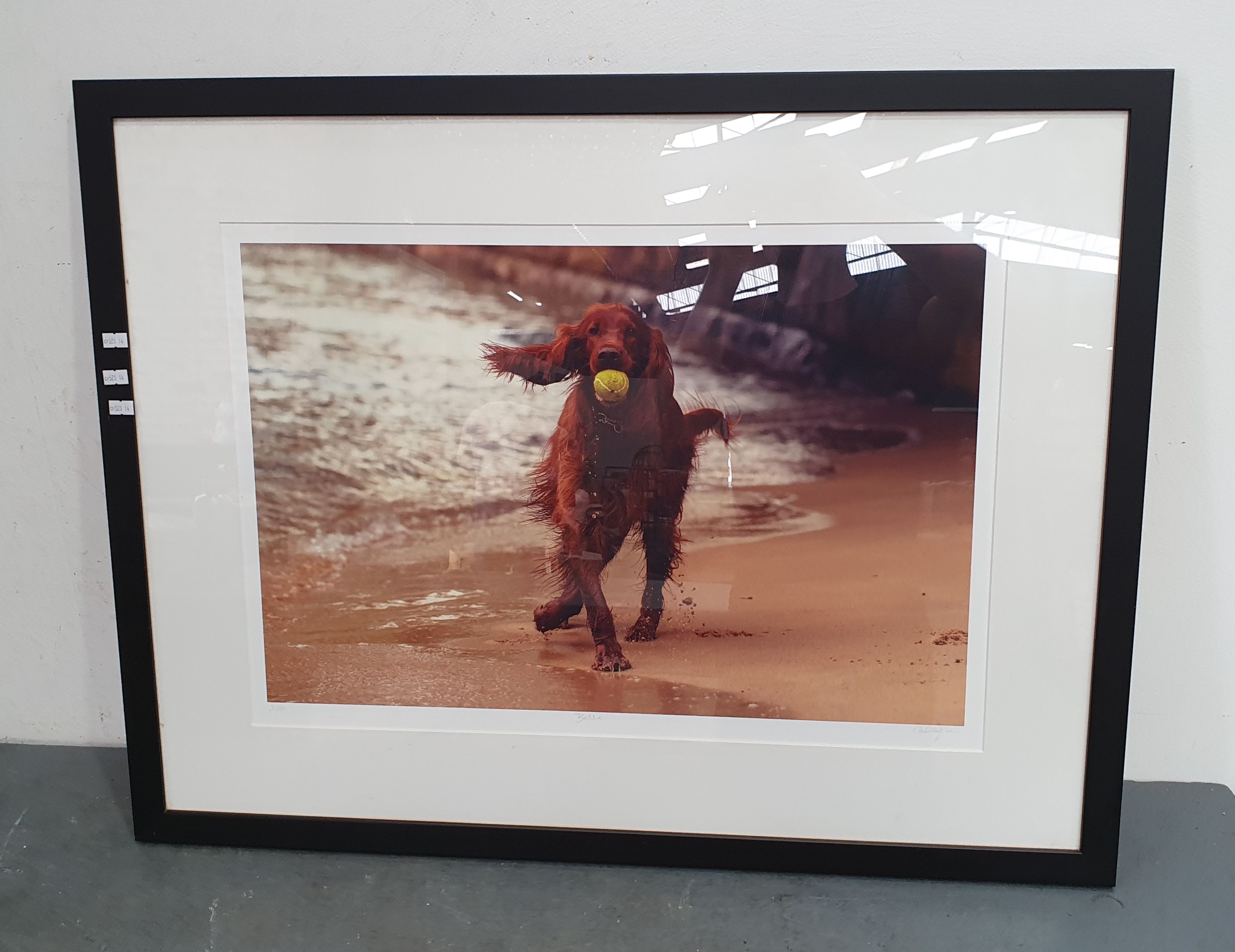 A Framed Photo