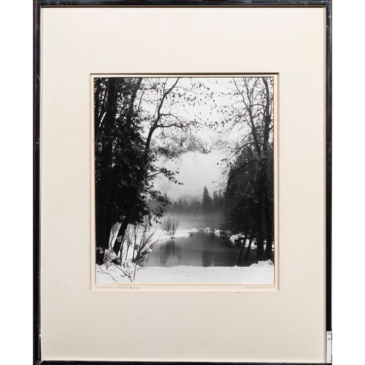 Photograph, Black and White Nature Scene
