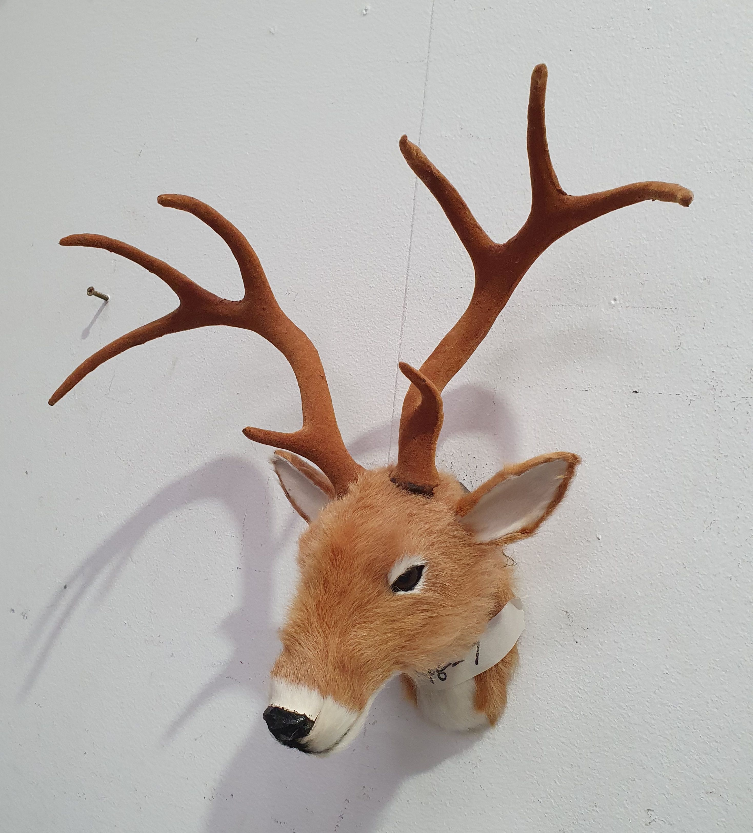 1269 · A DECORATIVE DEER HEAD