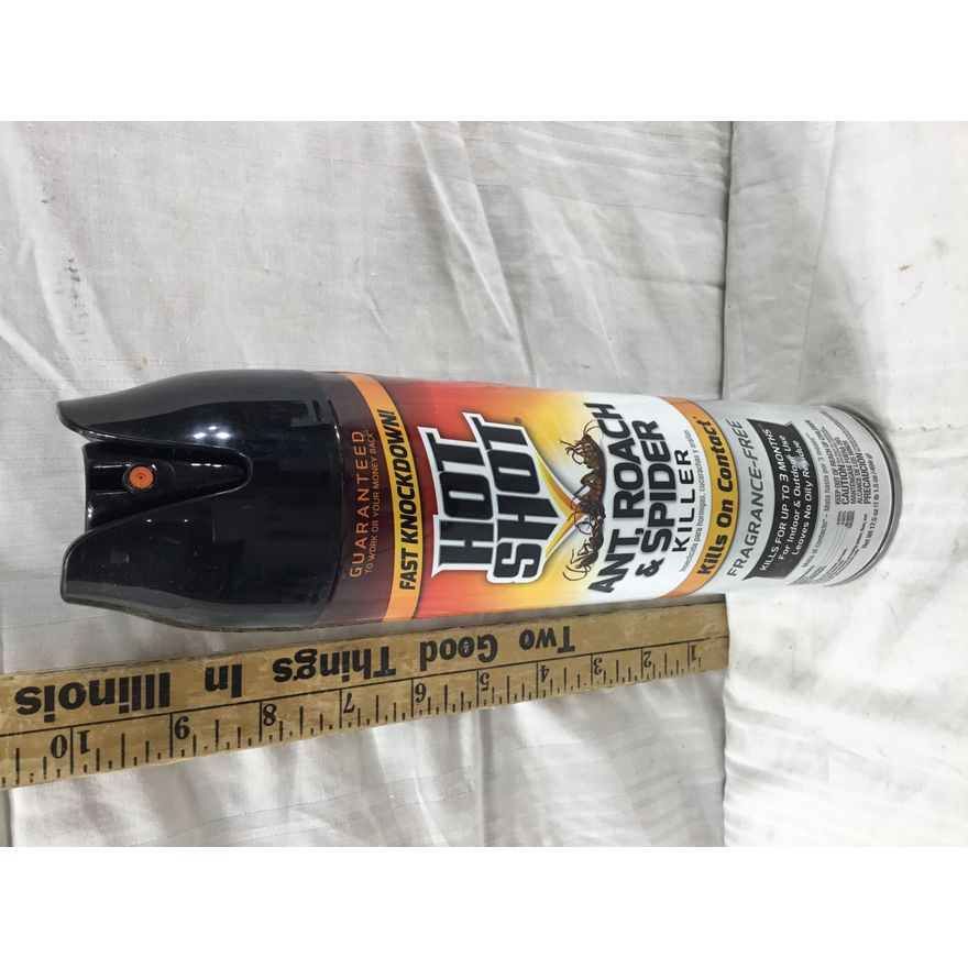 Hot Shot Ant, Roach, & Spider Killer 17.5 Oz