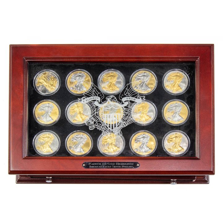 15 Gold & Platinum US silver eagles in case: