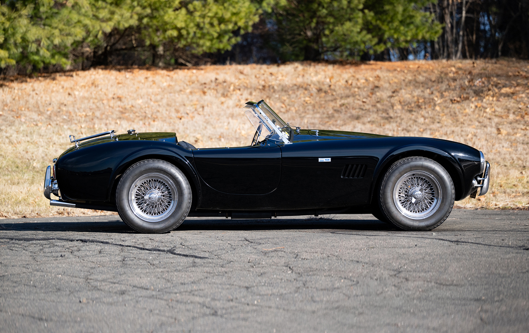 1964 Shelby 289 Cobra | Gooding Christie's
