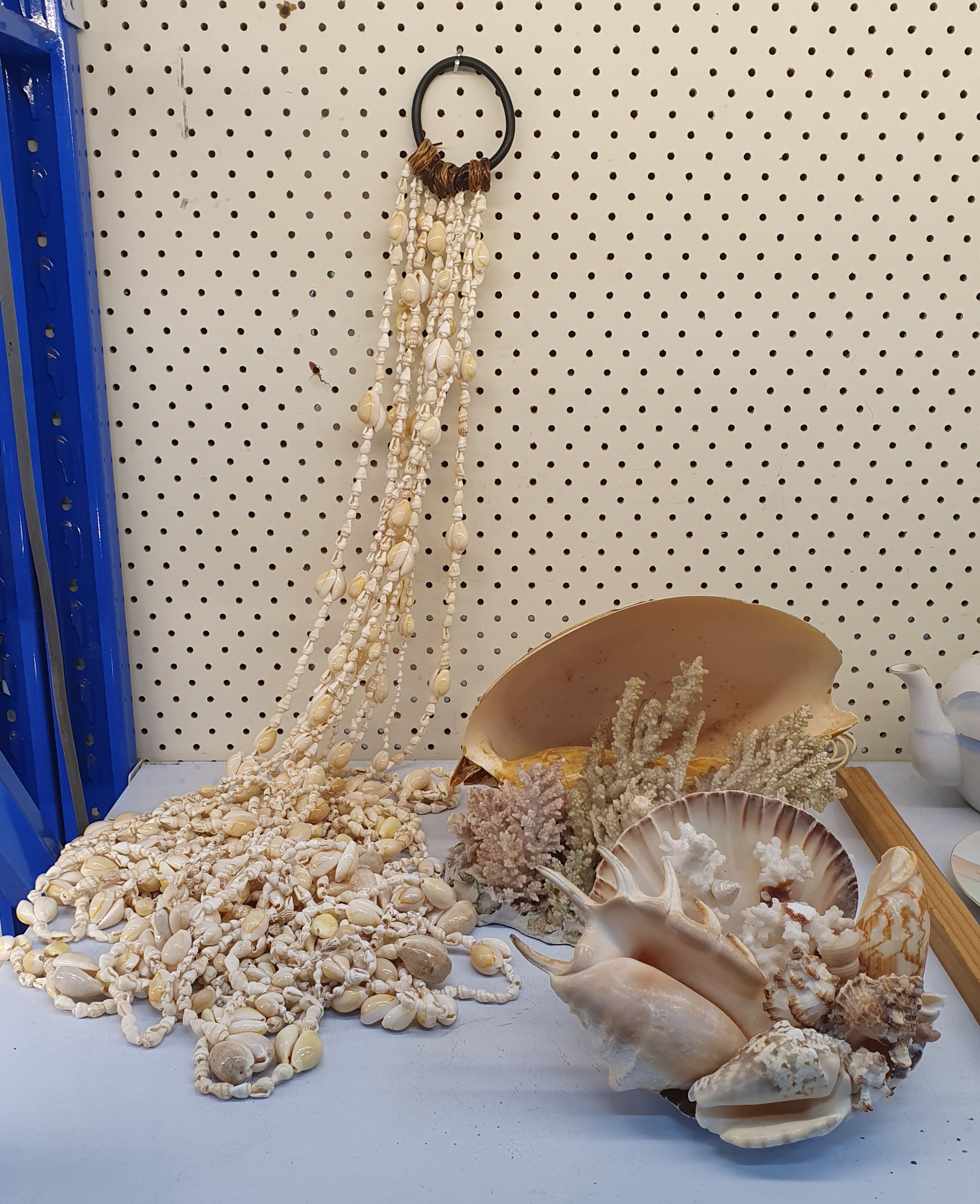 61 · A GROUP OF DECORATIVE SHELL ITEMS