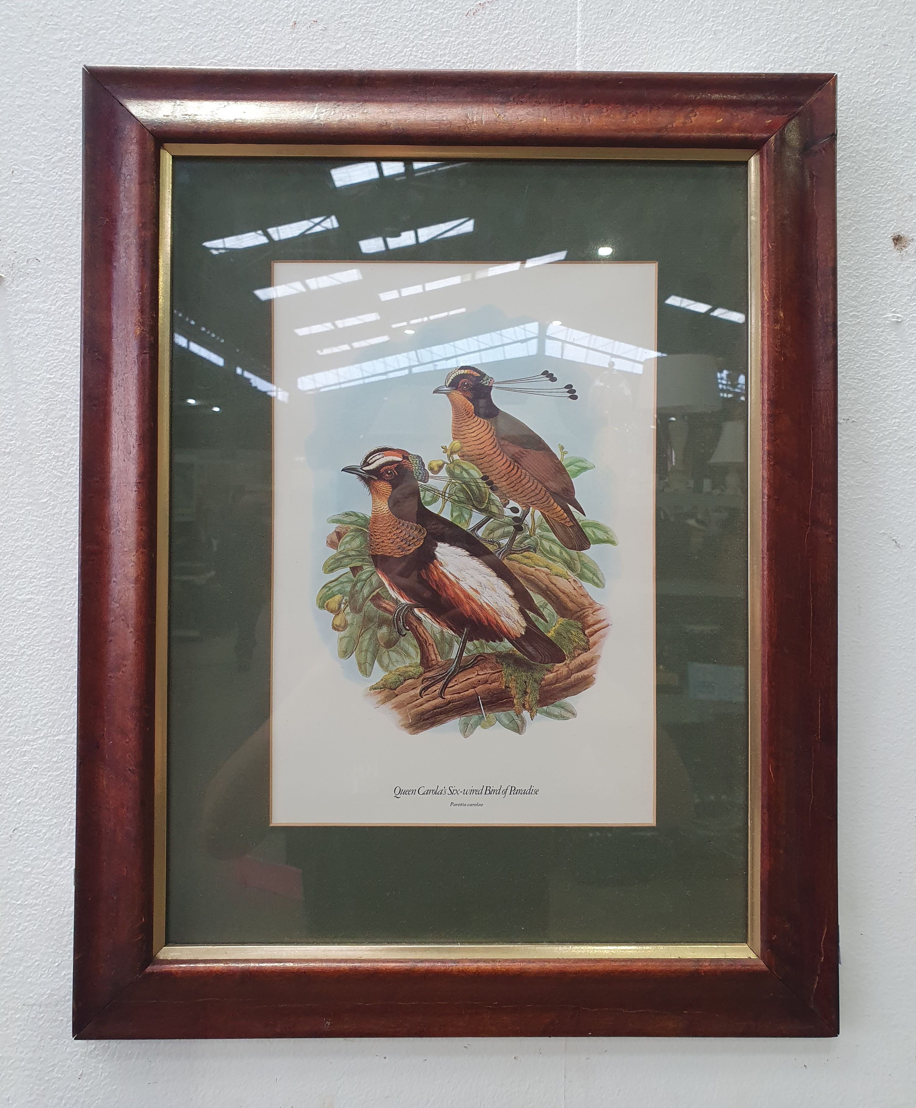A Framed Print