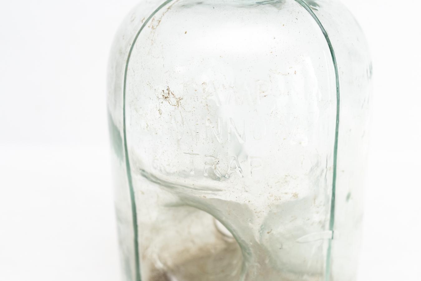 Camp Minnow Trap Glass Jar
